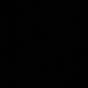 Meet your Posher, Oscar